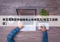 林芝开发区块链哪家公司有实力[林芝工业园区]