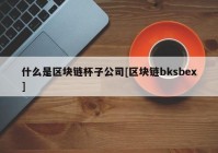 什么是区块链杯子公司[区块链bksbex]